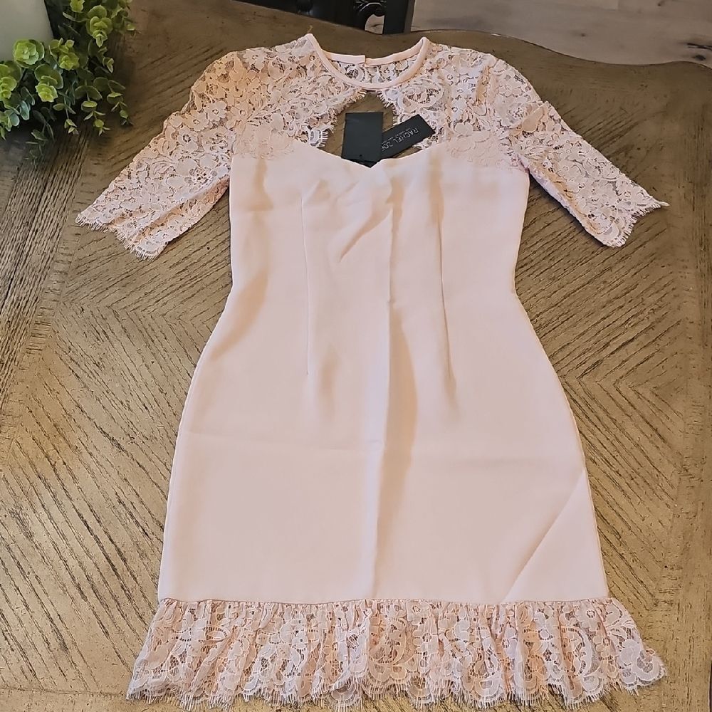 Rachel Zoe Blush Pink Lace Dress Size 4 NWT